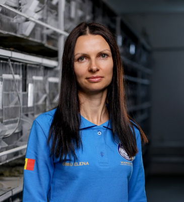 echipa: Sîrbu elena