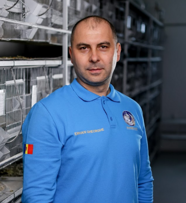 echipa: ERHAN GHEORGHE
